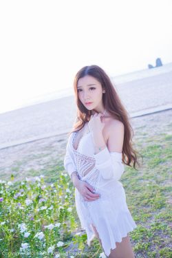 杀破狼在线观看